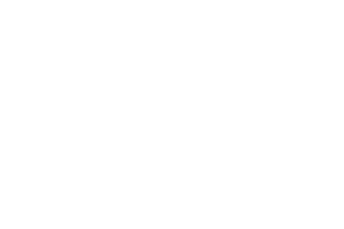 Aanekoski_logo_whitespace